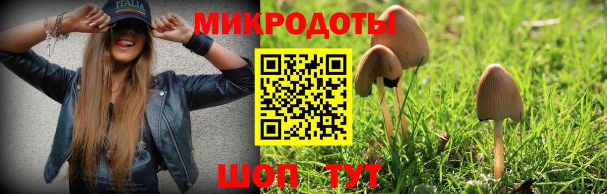 Саров  Псилоцибиновые грибы Cubensis  Вход с VPN 
